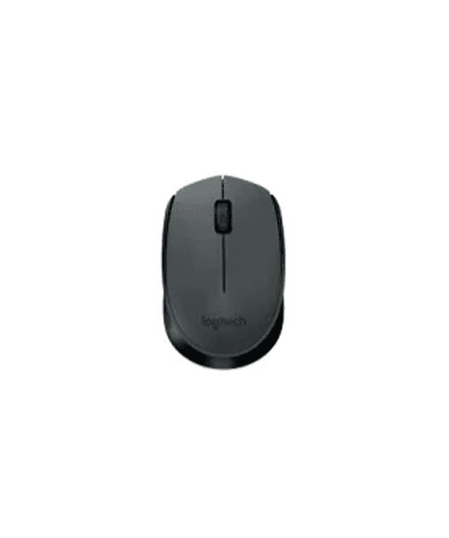 Mouse